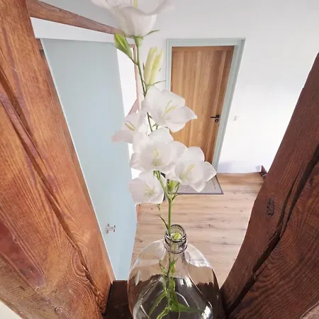 Alter Blumenladen Zwischen Altstadt Und Fulda-auen * פולדה